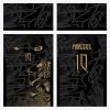 Arte Camisa Leão Dourado - Interclasse 0016