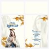 Arte Camisa Religiosa Nossa Senhora de Lourdes - 0001