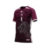 Arte Camisa Interclasse Tigre
