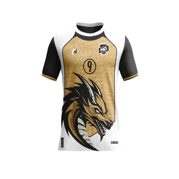 Arte Camisa Interclasse Dragão
