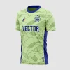 Arte Vetor Camisa Futebol Amador Verde e Azul