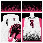 Arte Camisa Interclasse Dragão