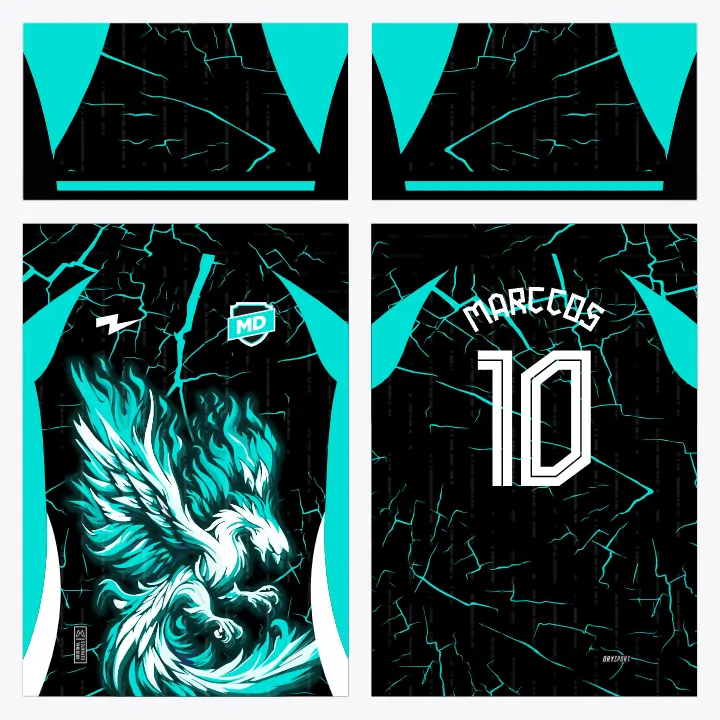 Arte Camisa Interclasse Fênix
