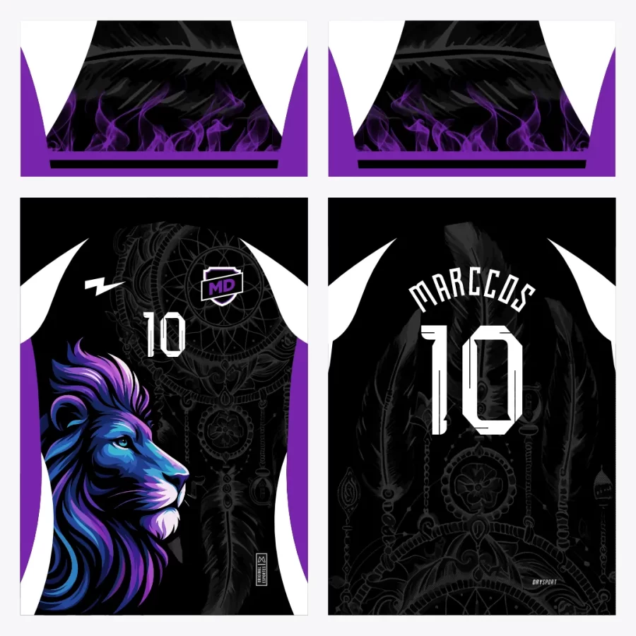 Arte Camisa Interclasse Leão