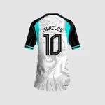 Arte Camisa Interclasse Tigre