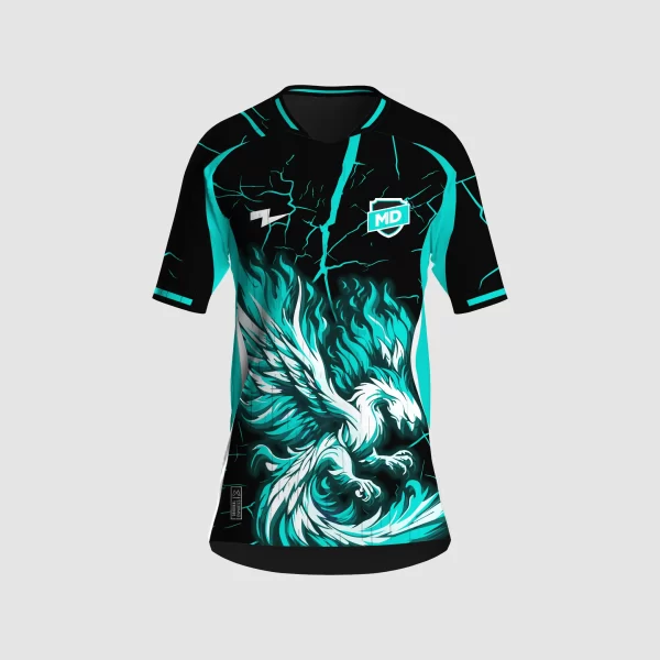 Arte Camisa Interclasse Fênix