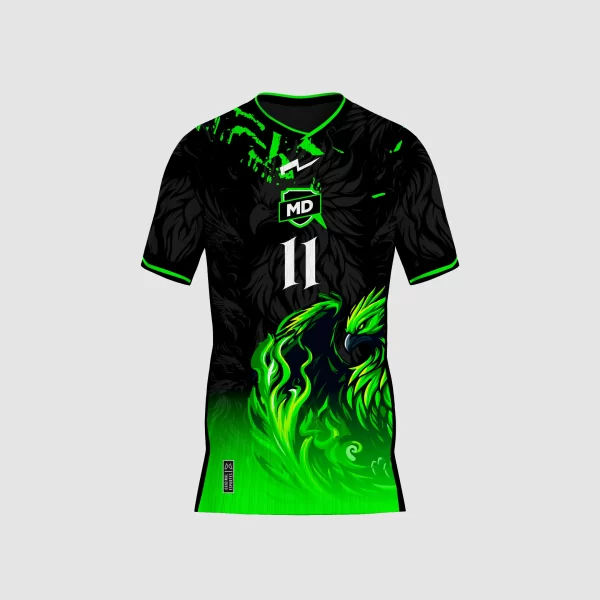 Arte Camisa Interclasse Fênix