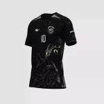 Arte Camisa Interclasse Leão