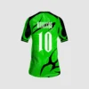 Arte Camisa Interclasse Fênix