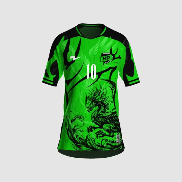 Arte Camisa Interclasse Fênix