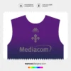Arte Vetor Quarta Camisa Fiorentina 2024.2025