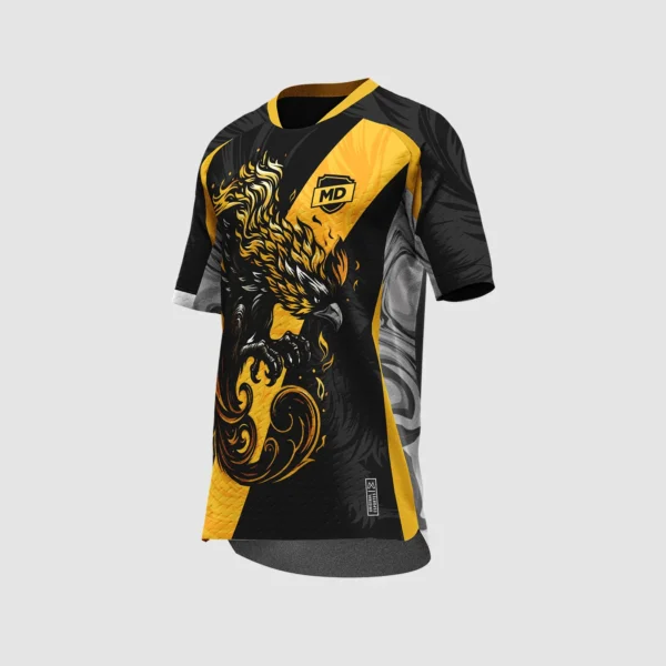 Arte Camisa Interclasse Fênix