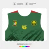 Arte Vetor Camisa Camarões Titular 2026.2027 Arte Vetor Camisa Camarões Titular 2026.2027