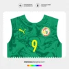 Arte Vetor Camisa Senegal Reserva 2024.2025 Arte Vetor Camisa Senegal Reserva 2024.2025